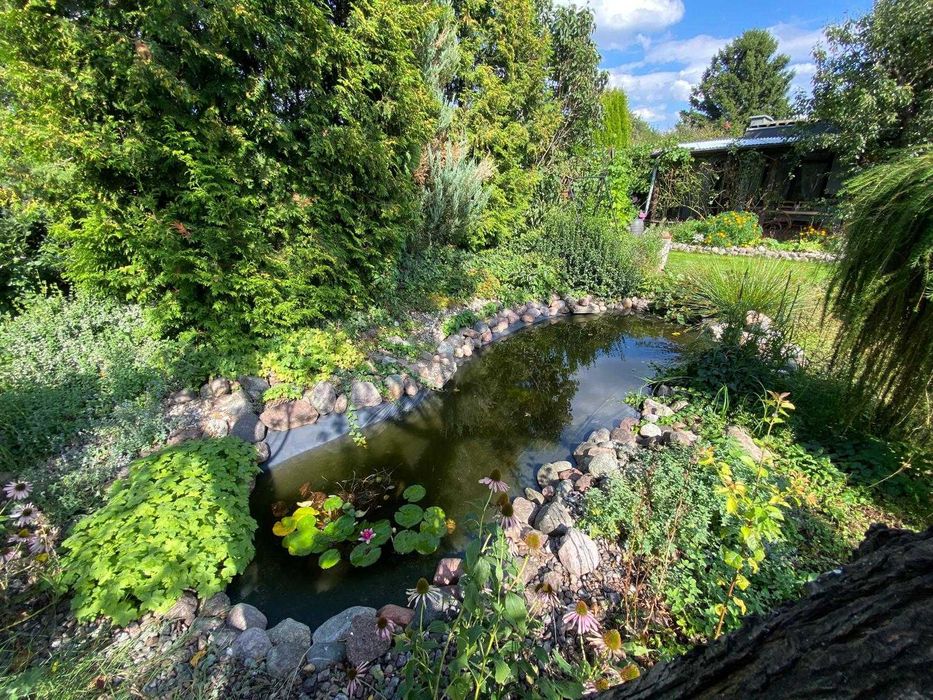 Działka ROD Toruń Wielki Rów Niezapominajka - ZADBANA, PIELĘGNOWANA