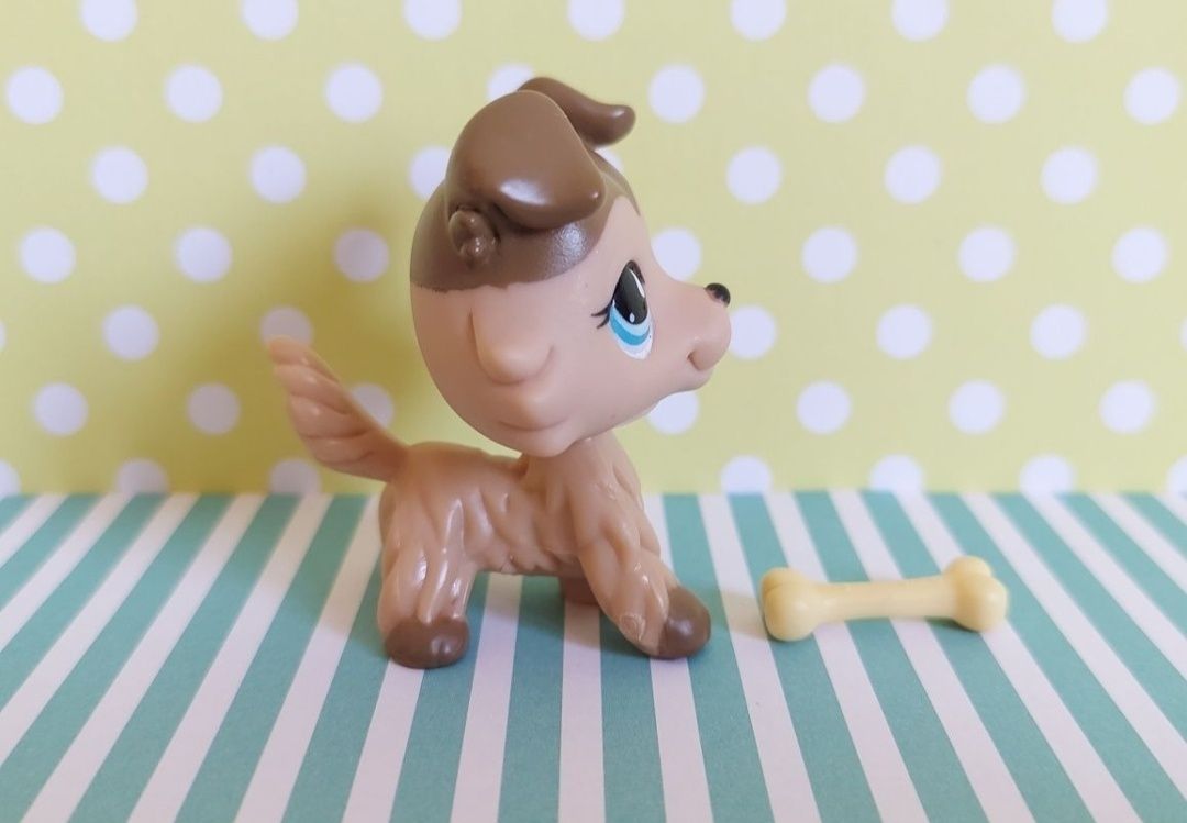 Littlest Pet Shop LPS unikatowy pies Collie #893 pop