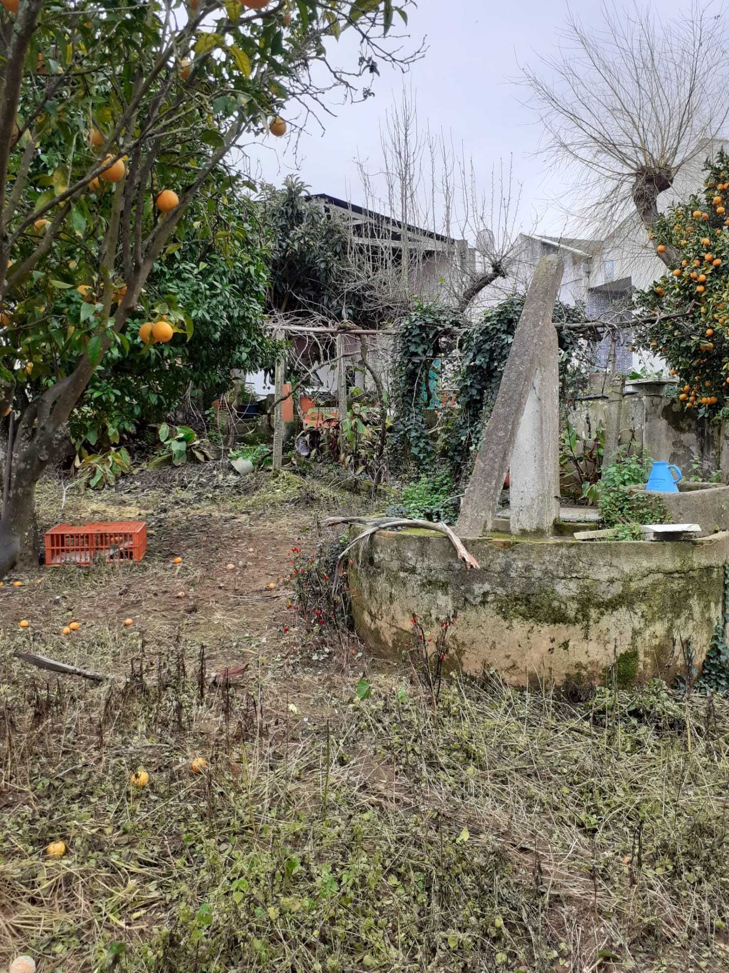 Quintinha junto à Serra de Montejunto