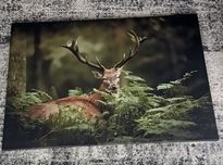 Obraz zielony na płótnie 90x60