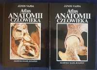 Atlas anatomii człowieka Janos Vajda 2 tomy