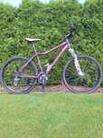 Rower górski Kellys Vanity 30 – damski MTB 26” – aluminiowa rama 19”