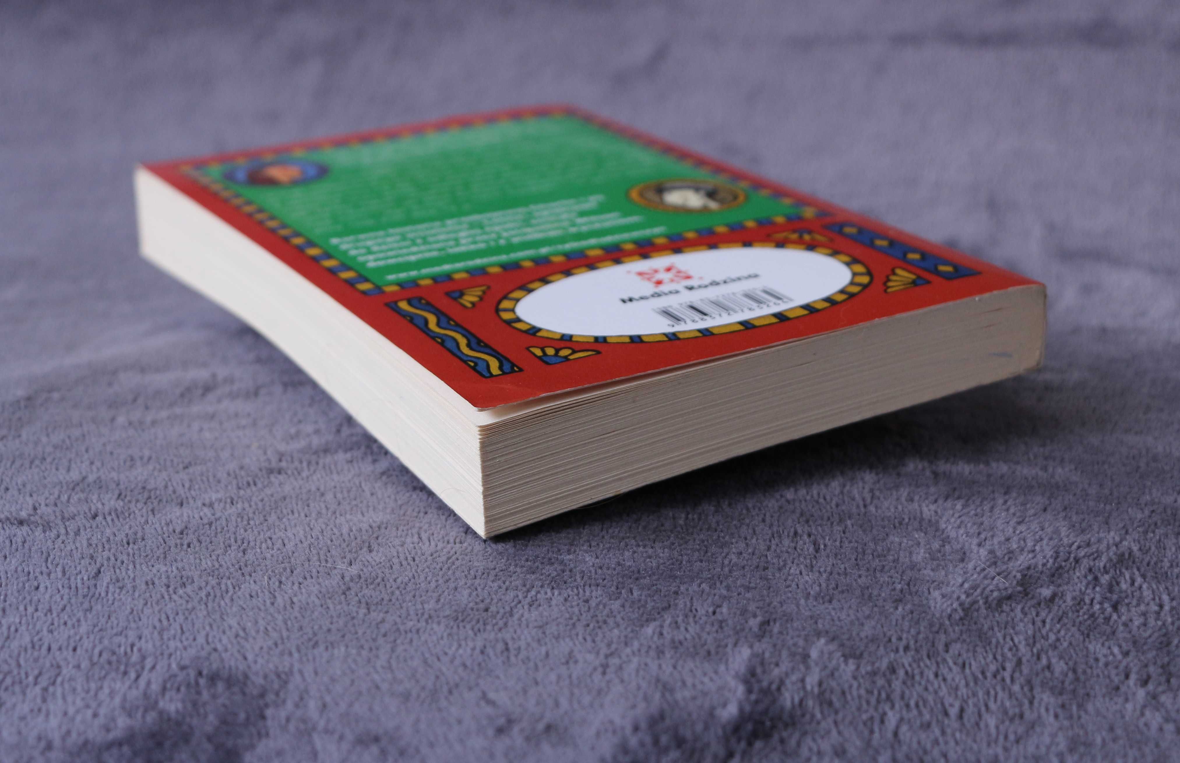 Pamiętnik Lottie - Jacqueline Wilson - książka w świetnym stanie