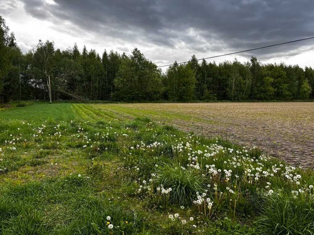 Działka rolna do przekształcenia, 1,33 ha, Stare Lubiejewo