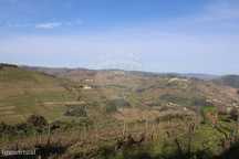 Terreno  para venda
