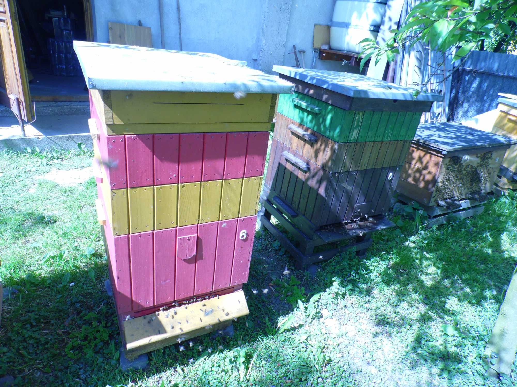 Pszczoły ule odkłady