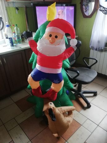 Mikołaj na choince z psem
