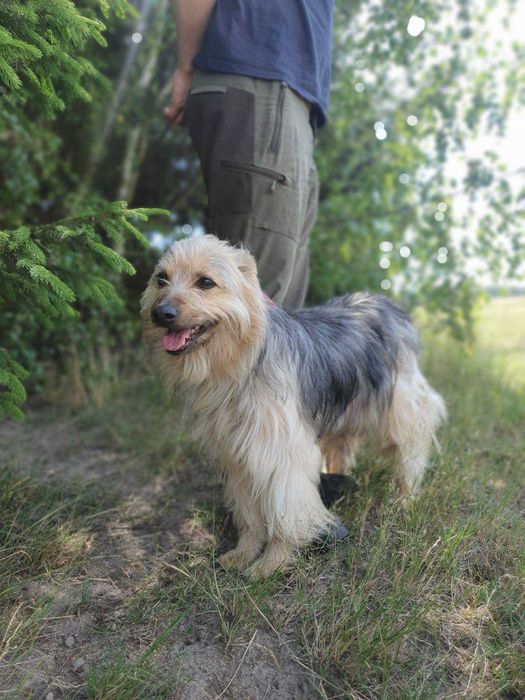 TOLA i MEDI szukają wspólnego domu