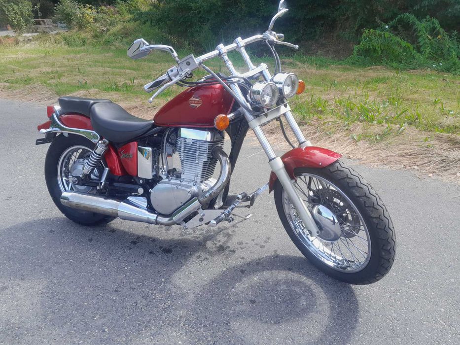 Suzuki Ls 650 Savage