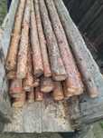 Stemple sosnowe, nowe, 3m