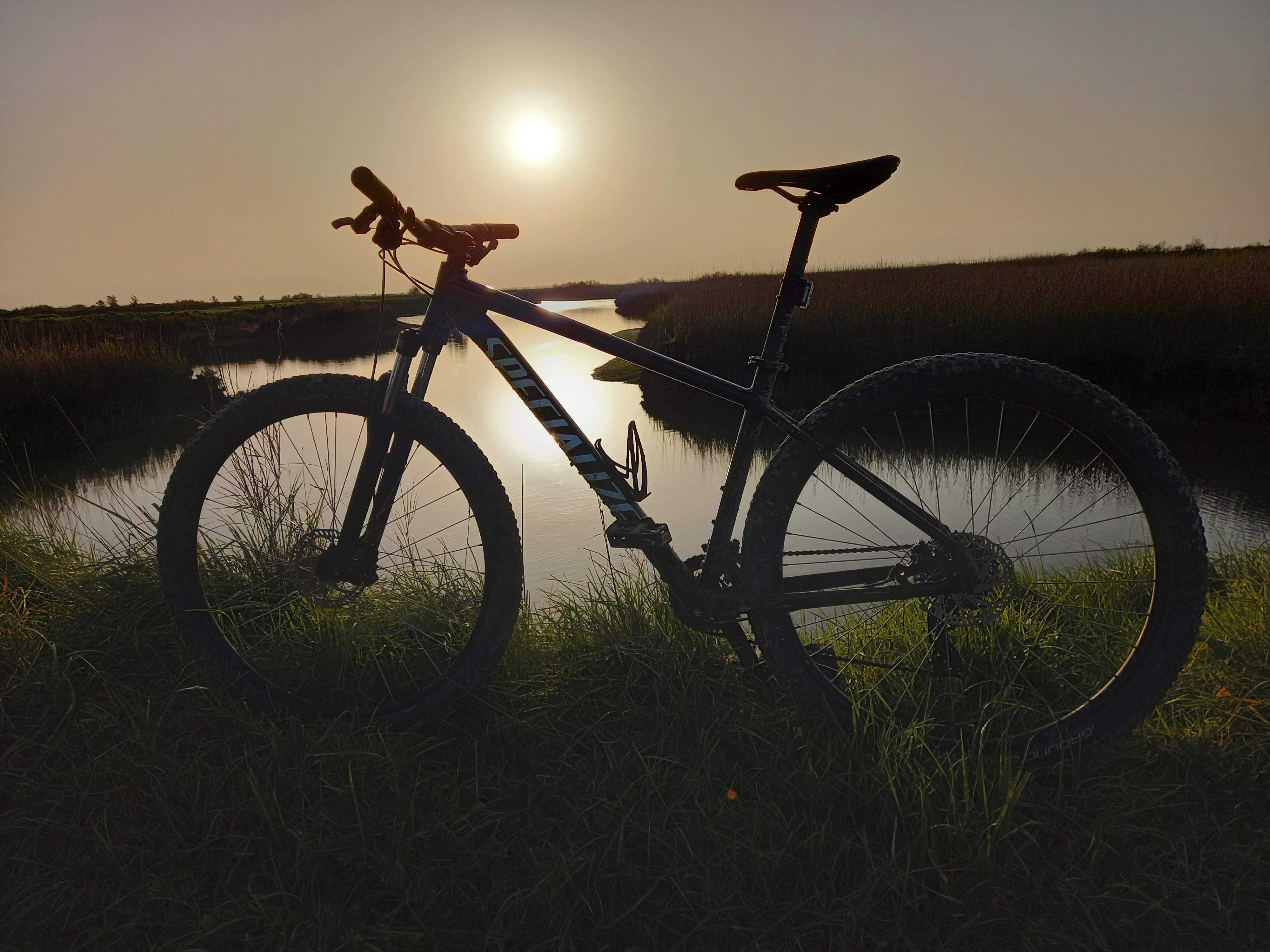 Specialized Rockhopper 29