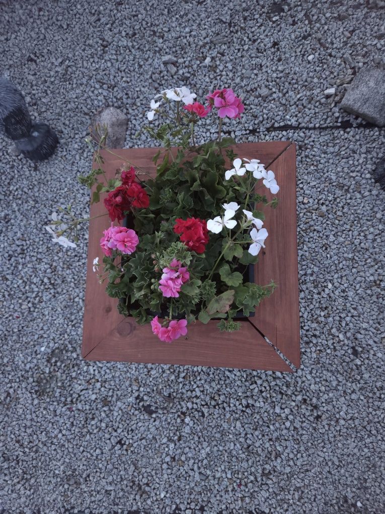 Donica drewniana ręcznie robiona 52 cm – ogrodowa/tarasowa