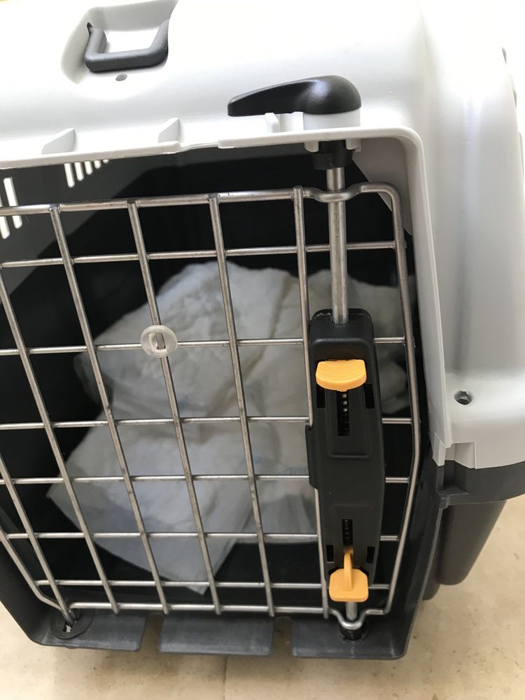 Caixa Transportadora Gatos