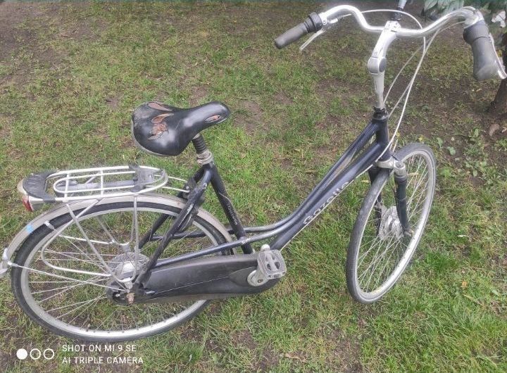 Rower treningowy Gazelle