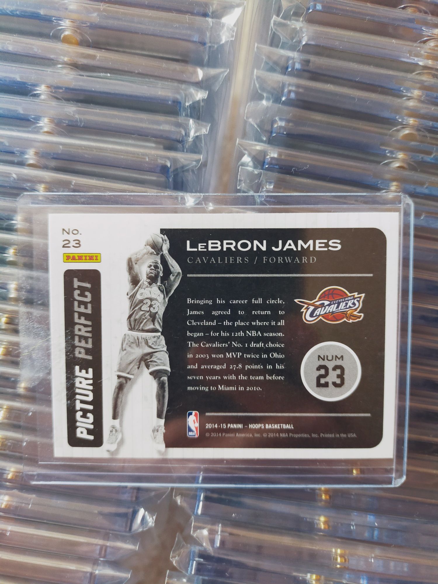 LeBron James - karta NBA