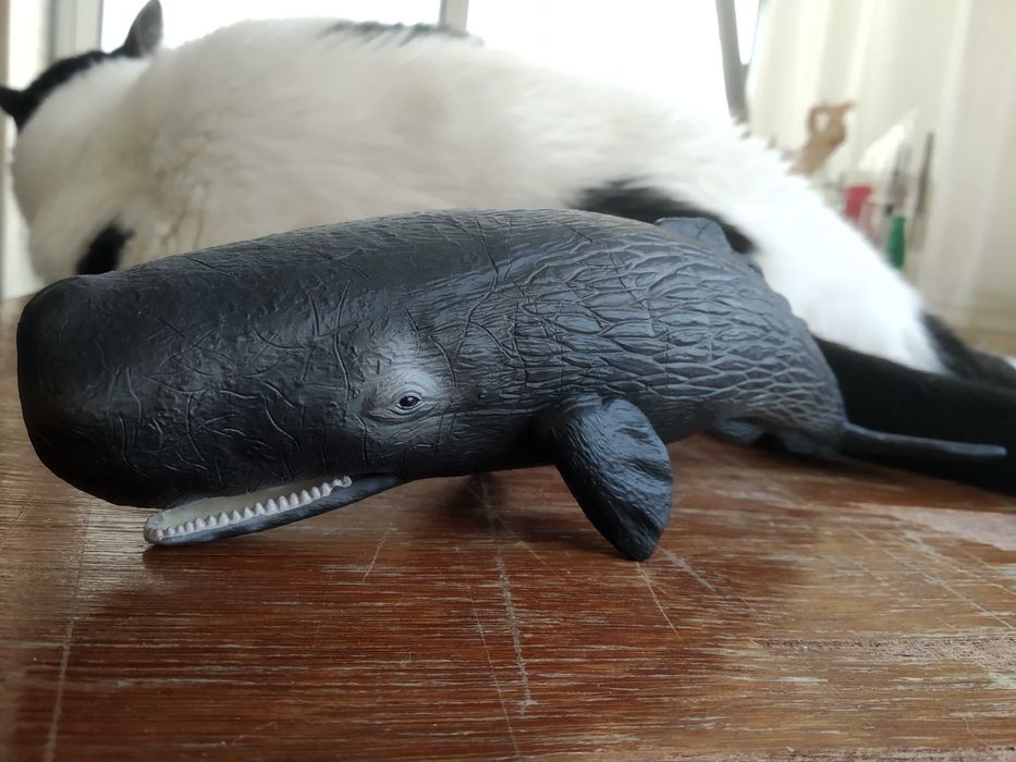 Collecta - miniatura de Cachalote, Sperm Whale