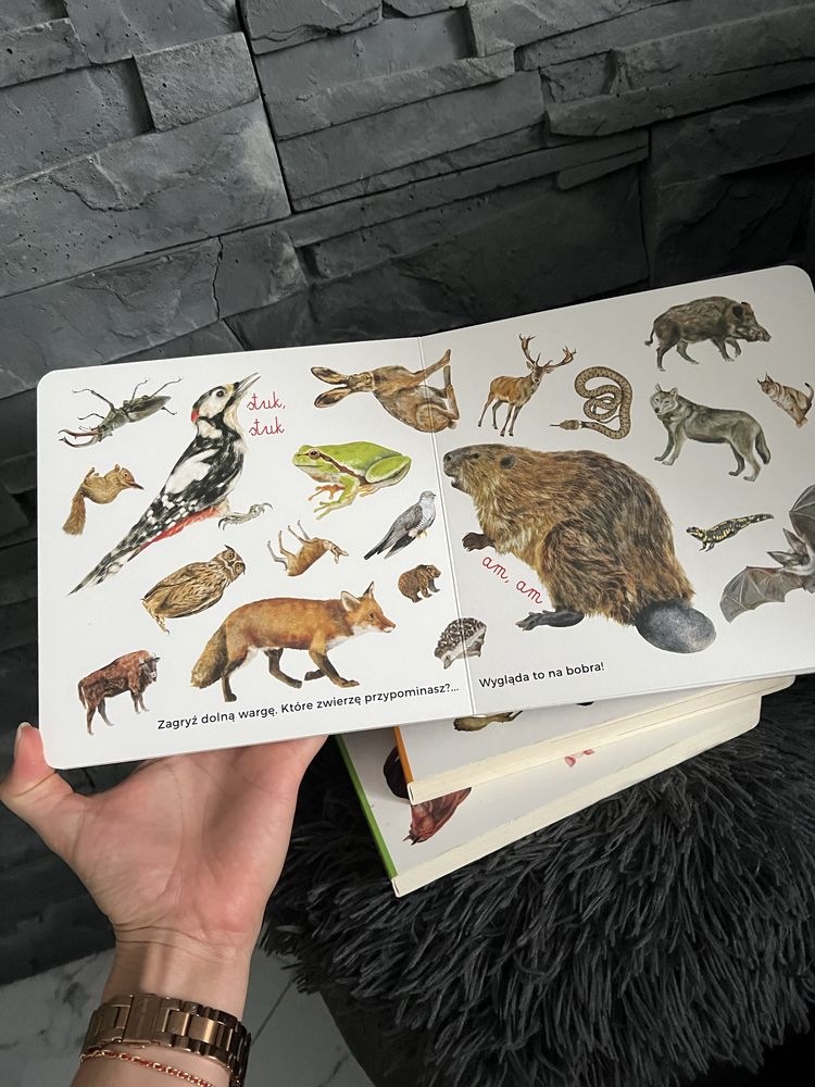W kółko to samo wieś+ las+ zoo
