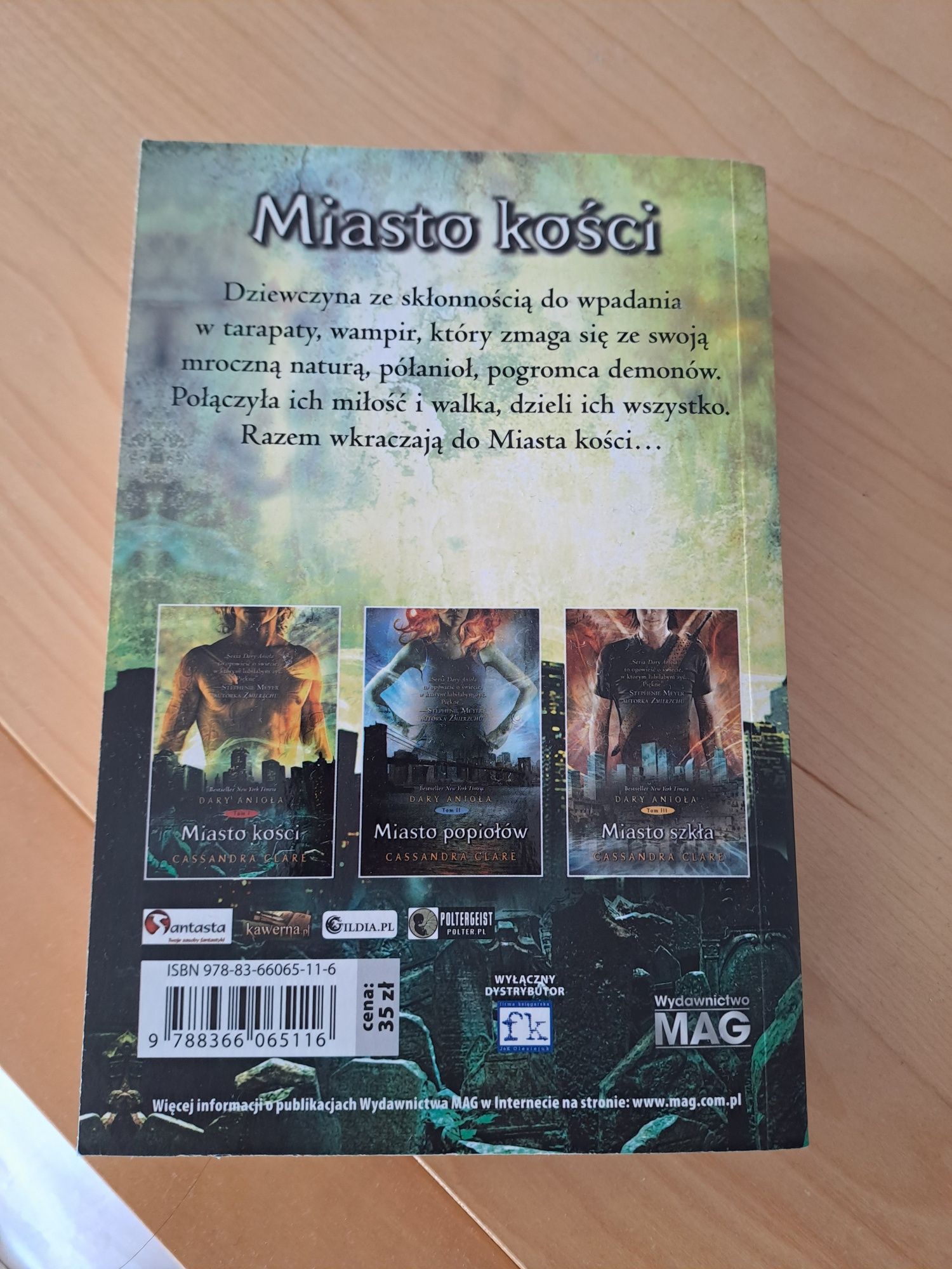 Książka Miasto Kości