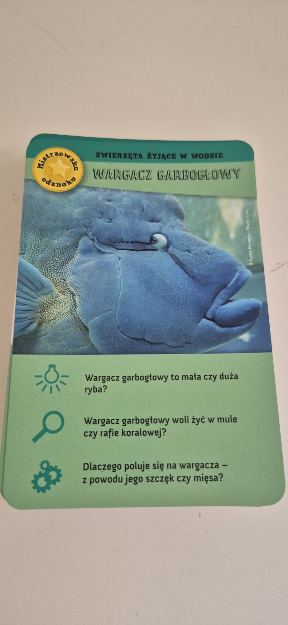 Karty edukacyjne - "Zwierzęta pod ochroną" - 150 kart