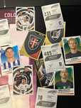 Panini Liga Betclic Futebol 2024-25 / TROCA
