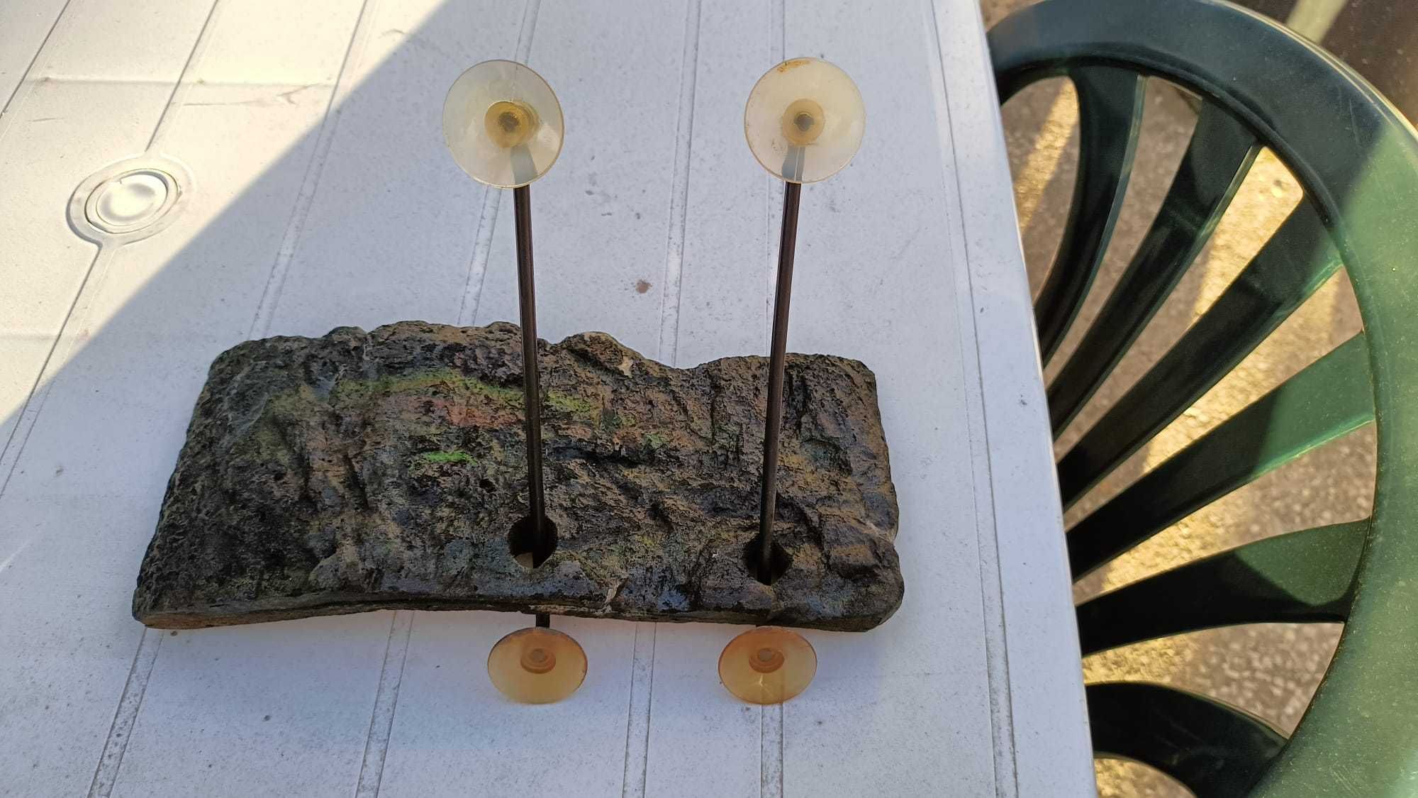 Plataforma Tartaruga