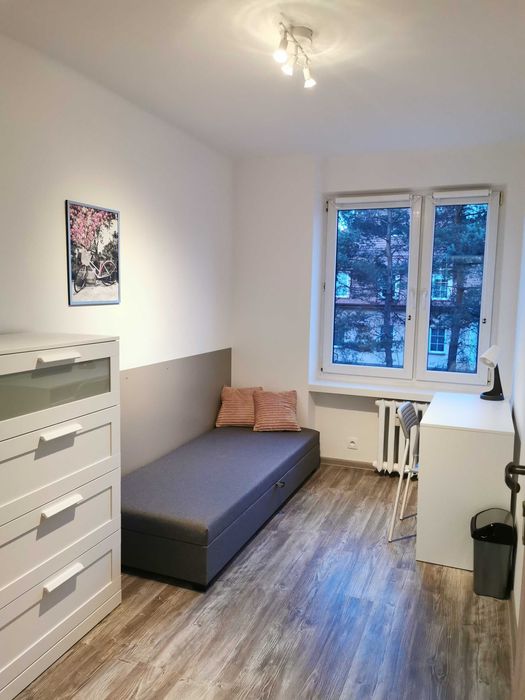 Pokój w centrum ul. Focha