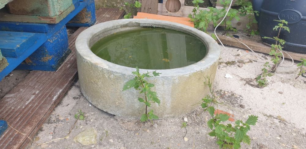 Comedouro / comedor de cimento para animais