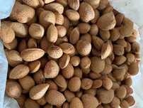 Amêndoa - Produtos Agrícolas Caseiros, Produção Própria