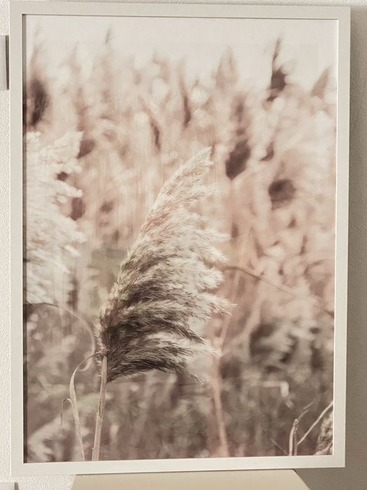 4 quadros com tela Boho Chic