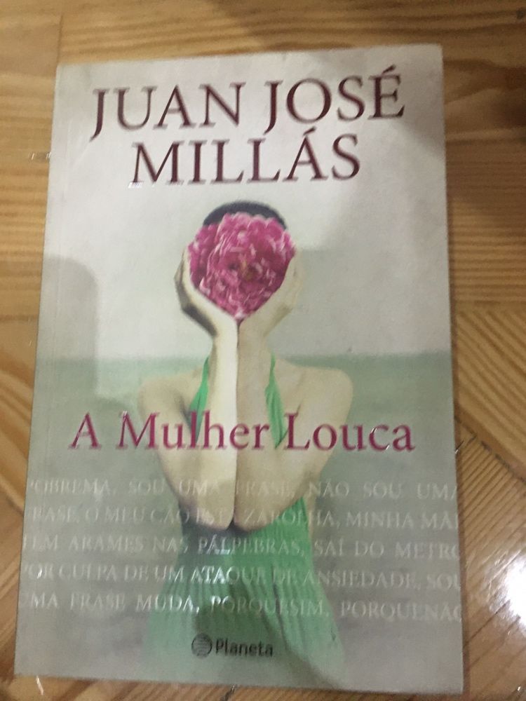 A mulher louca - Juan José Millás