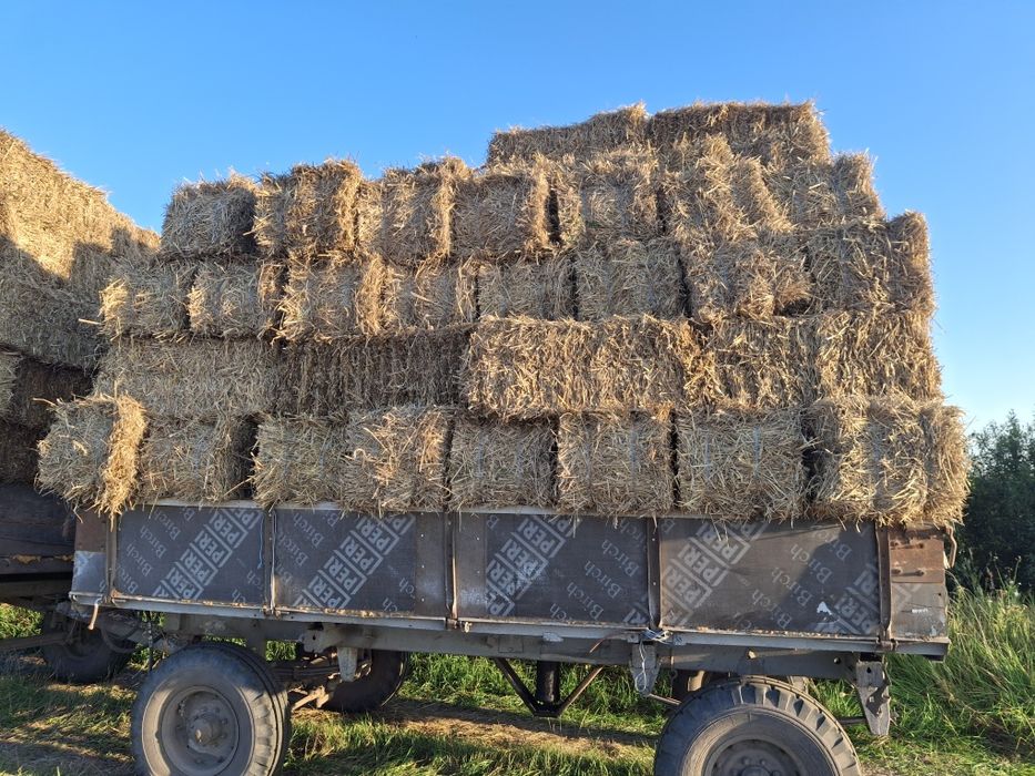 Продам Тюки Солома