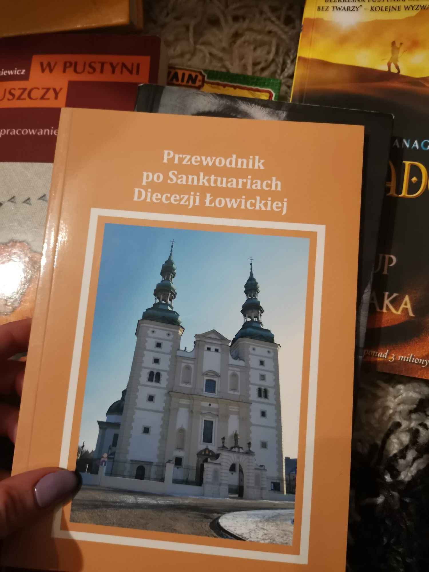 Przewodnik po sanktuariach ziemii łowickiej