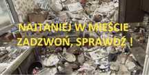 Sprzątanie i opróżnianie mieszkań,piwnic,wywóz śmieci,wokri BIG BAG.