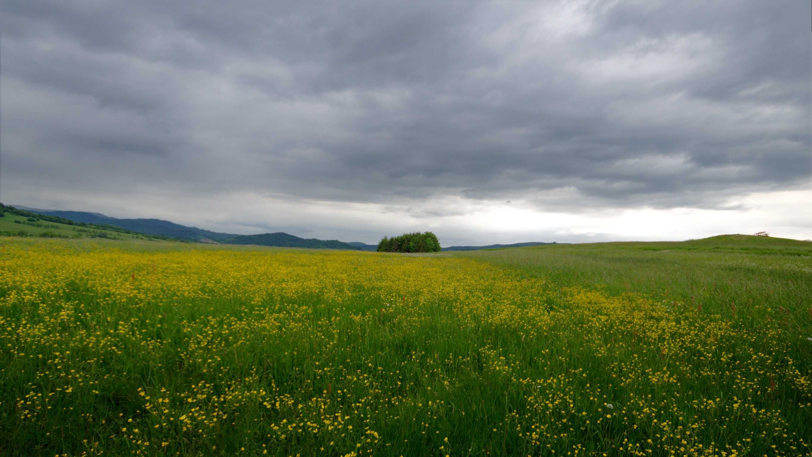 Obiektyw Sigma 10-20 mm f4-5,6 EX DC Pentax