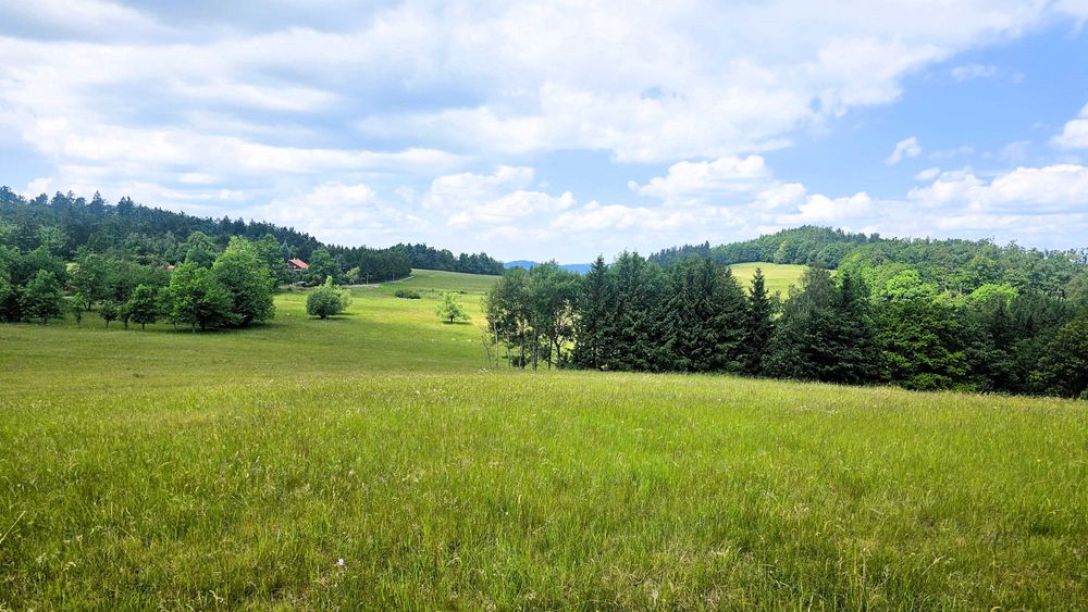Działka blisko Karpacza, tylko 30 minut od zalewu Bukówka