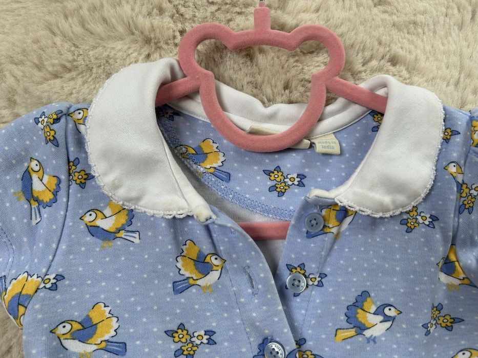 Sukienka z kolnierzykiem jojo maman bebe