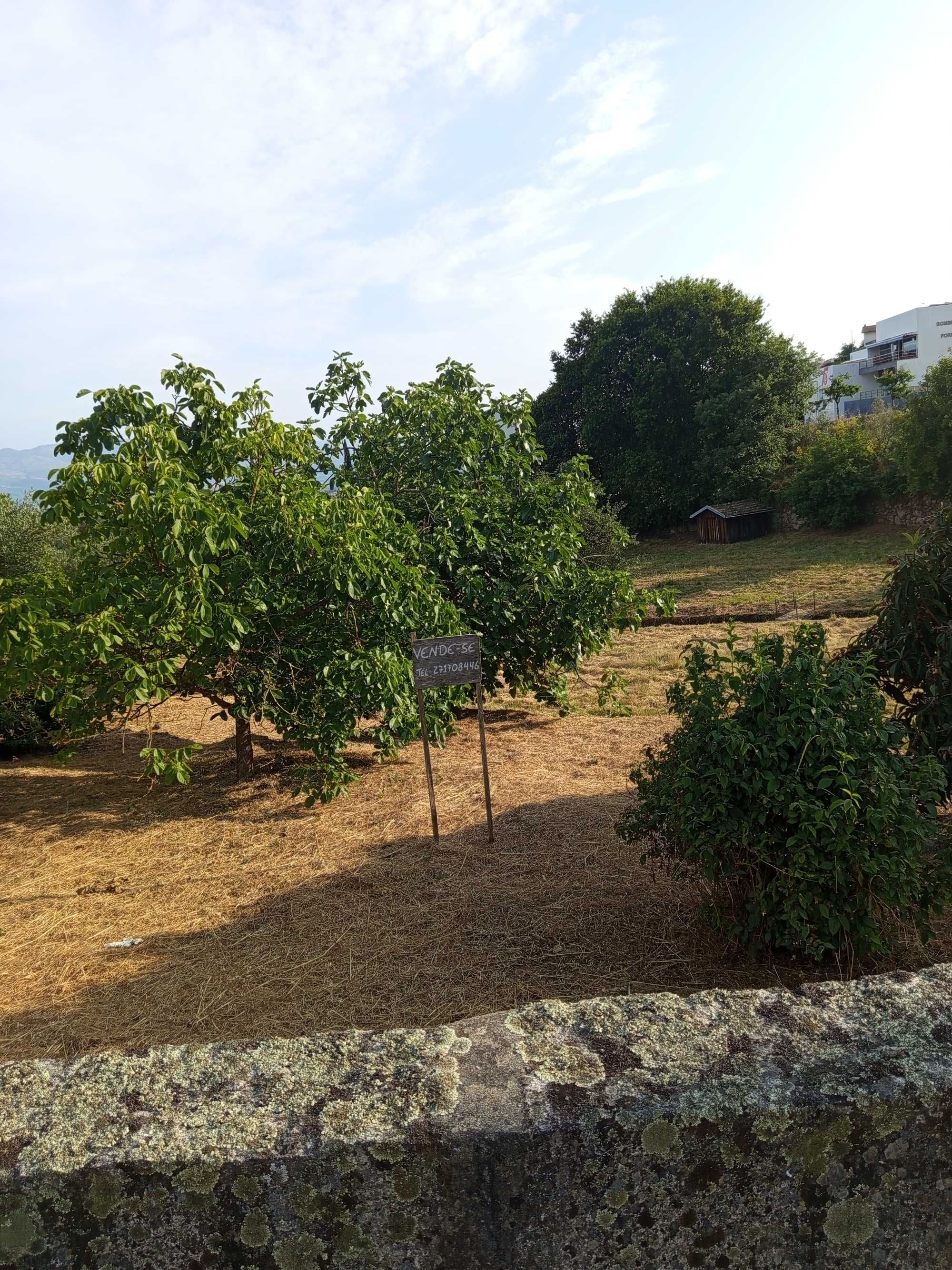 Vendo terreno em Fornos de Algodres