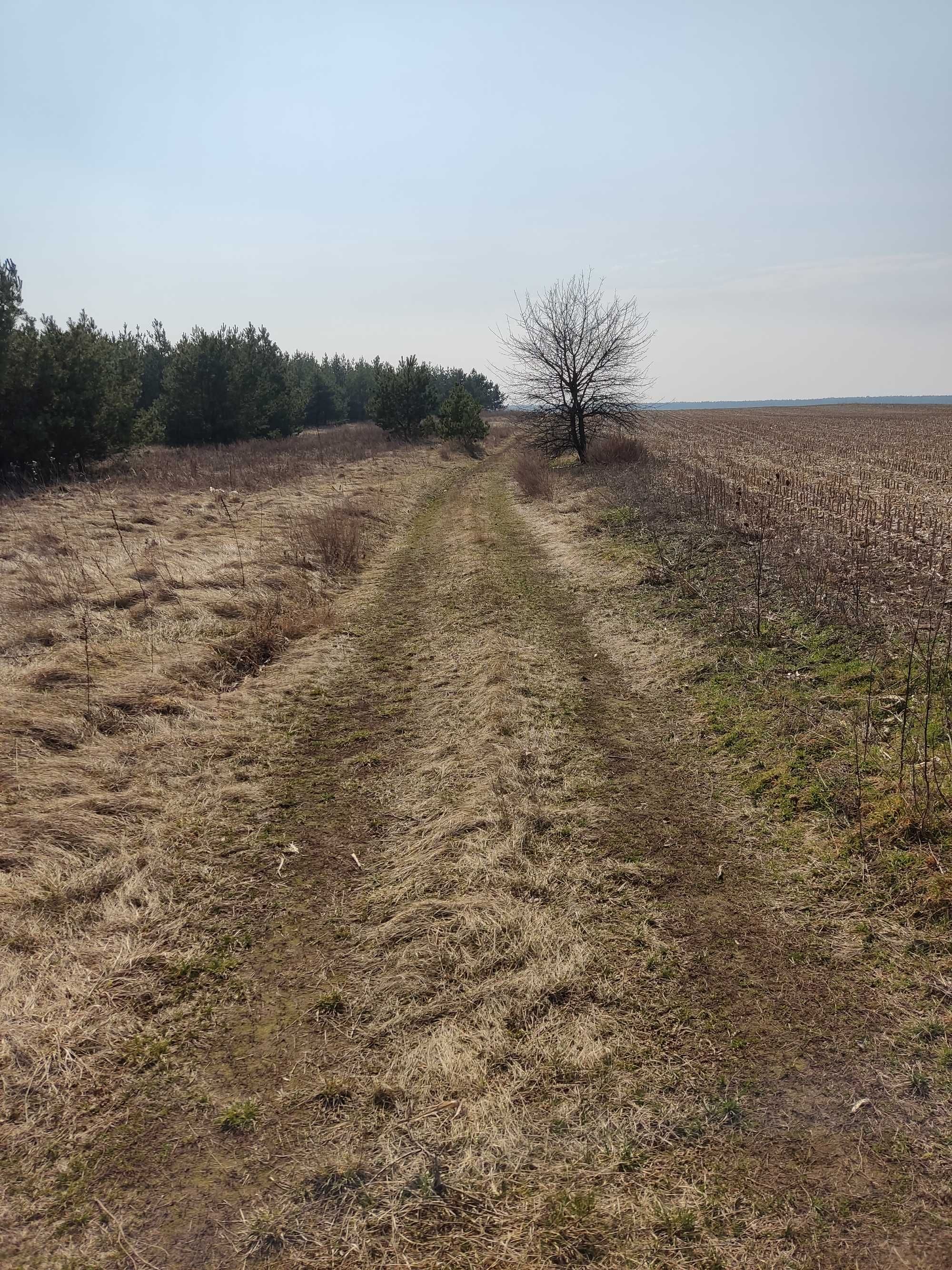 Земельна ділянка площею 2 га під ОСГ Вороньківська с/р