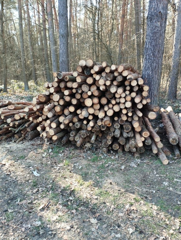 Stemple budowl. i ogrodzeniowe nie używane, tyczki sadownicze, opał so