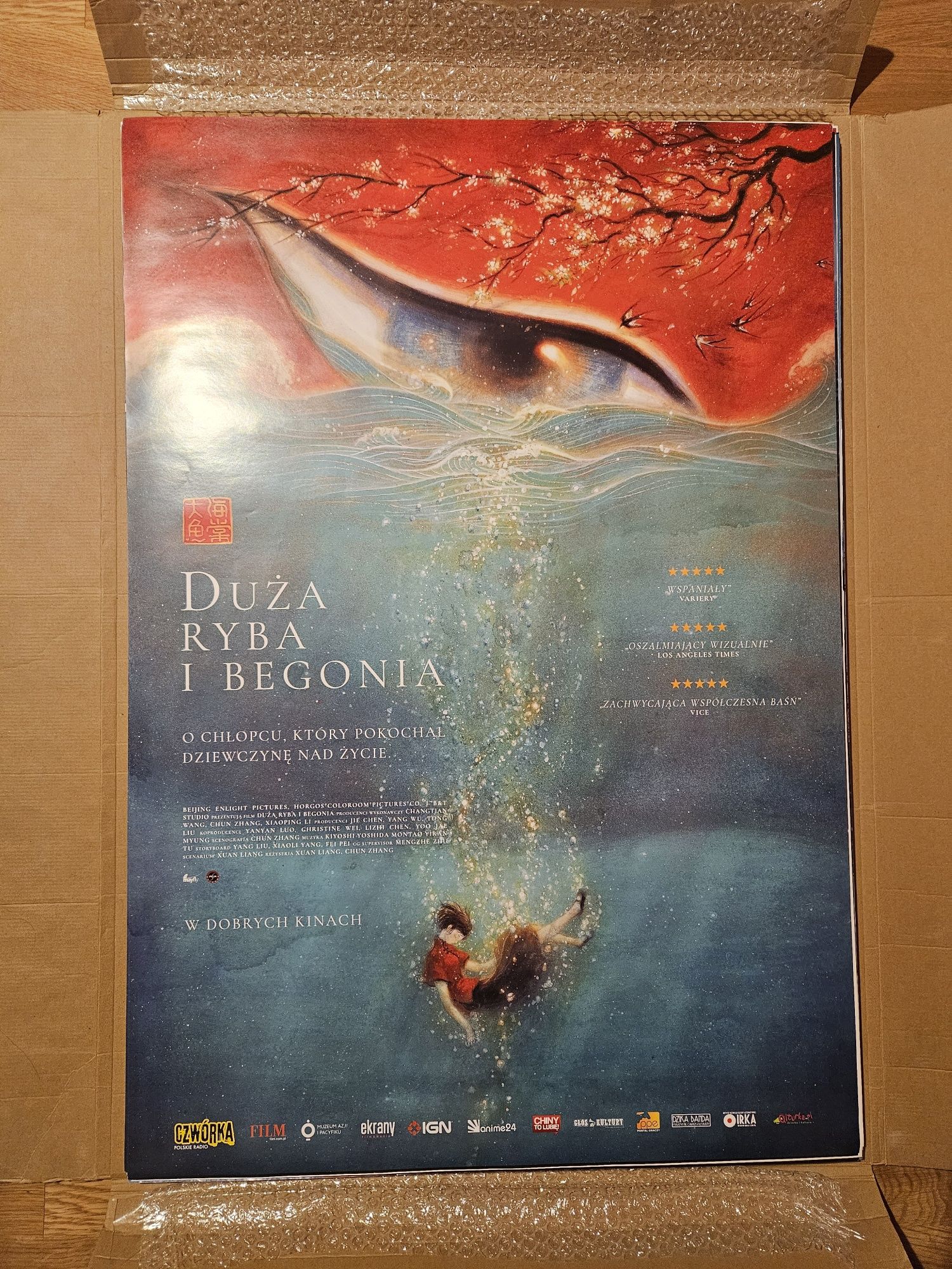 Plakat z filmu Duża ryba i begonia