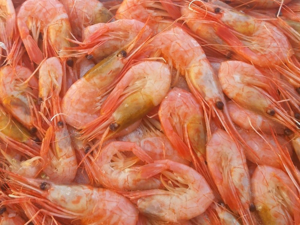 Раки живі,варені