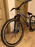 Rower dirt NS movement 2 2021