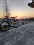 Specialized Rockhopper 29
