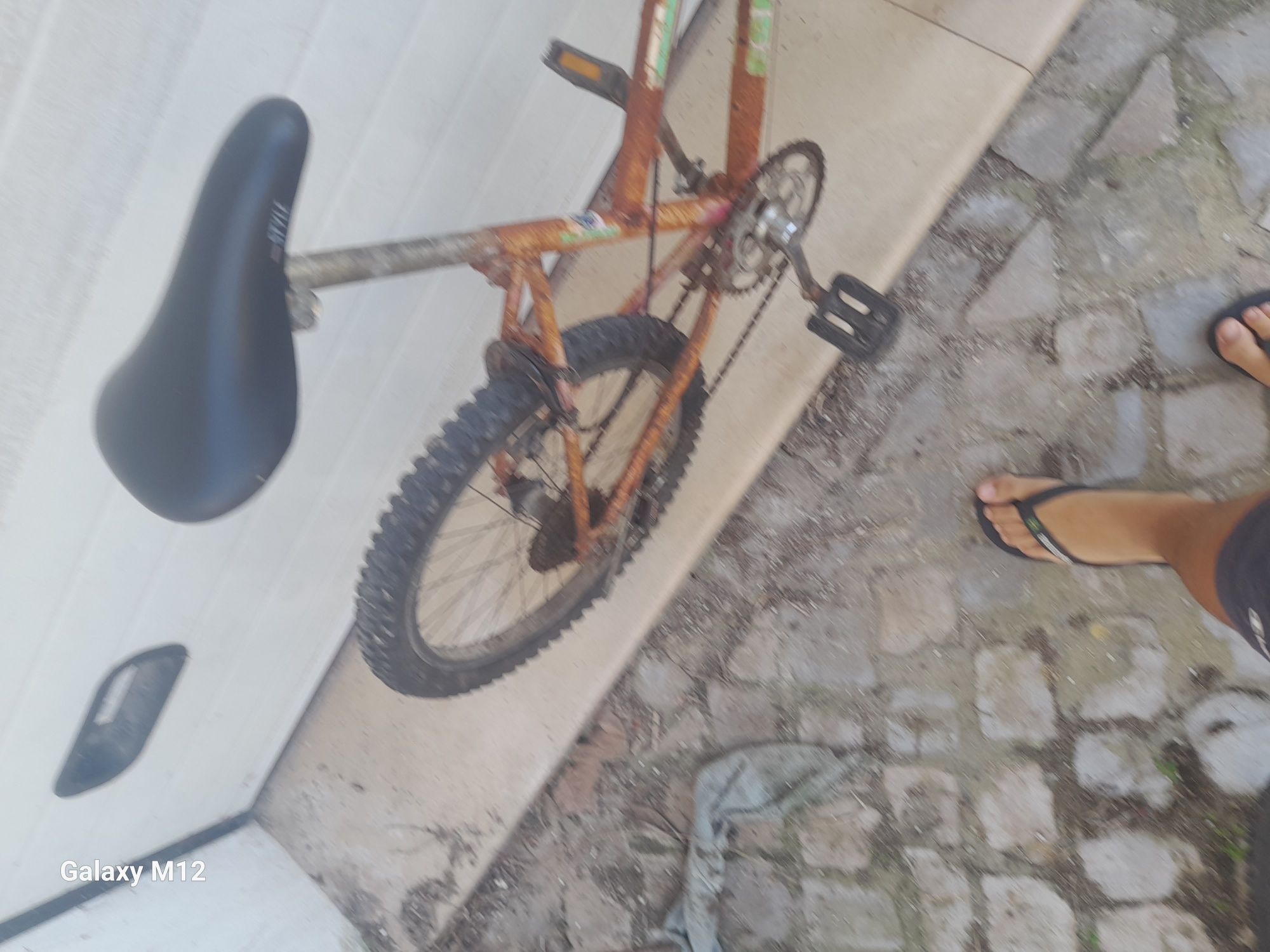Bicicleta antiga