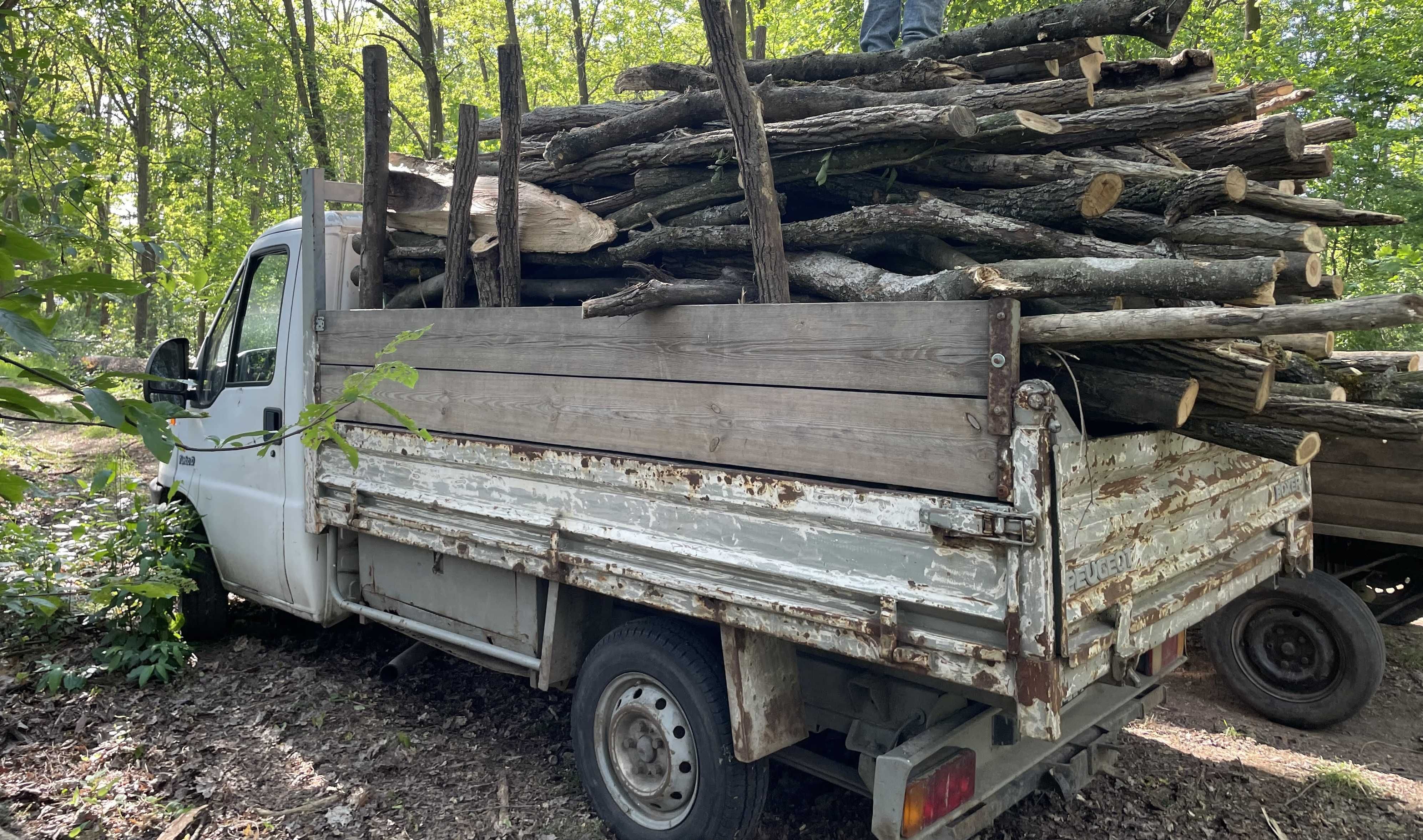 Dąb Sosna drewno kominkowe opałowe pocięte porąbane