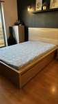 Cama + Colchão 1.60mx2m