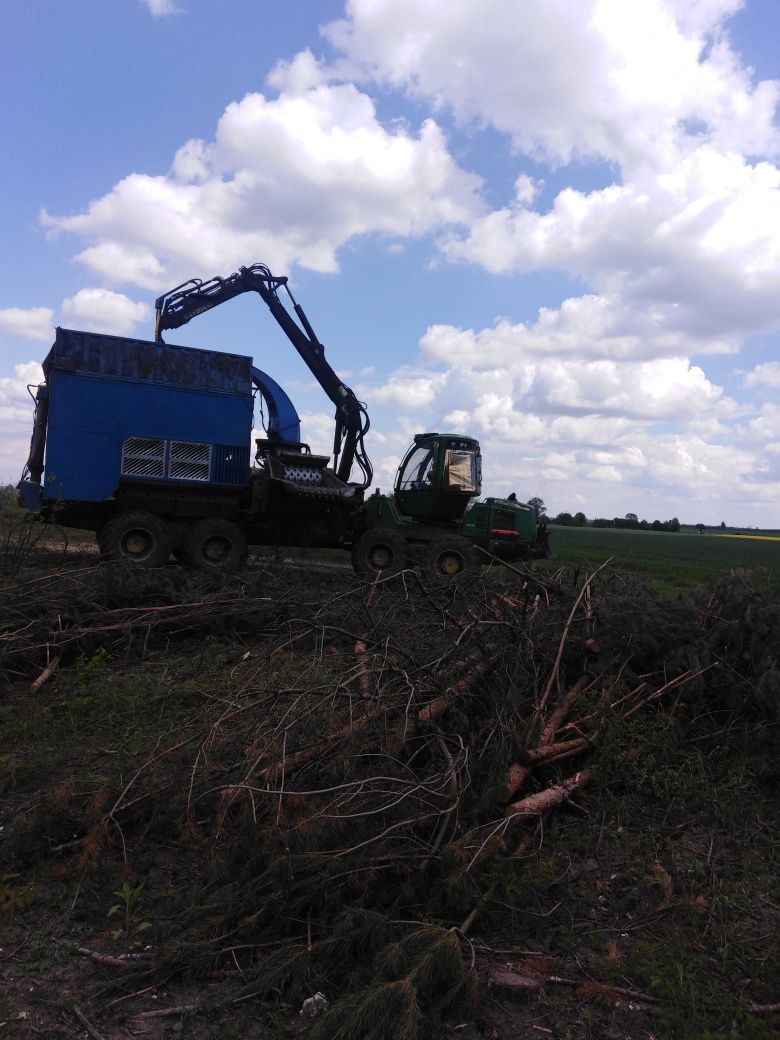 Wycinka drzew samosiejek, rębanie, usuwanie sadów , sadu