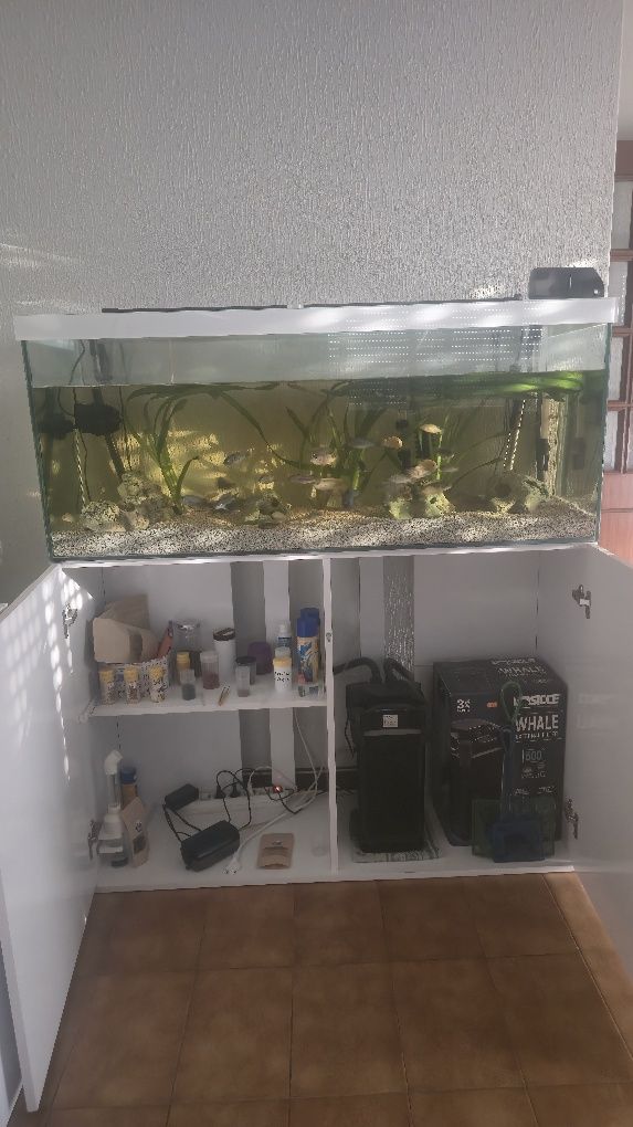 Aquário completo