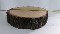 Duży Plastry drewna brzoza 33 cm gr.8cm na stolik