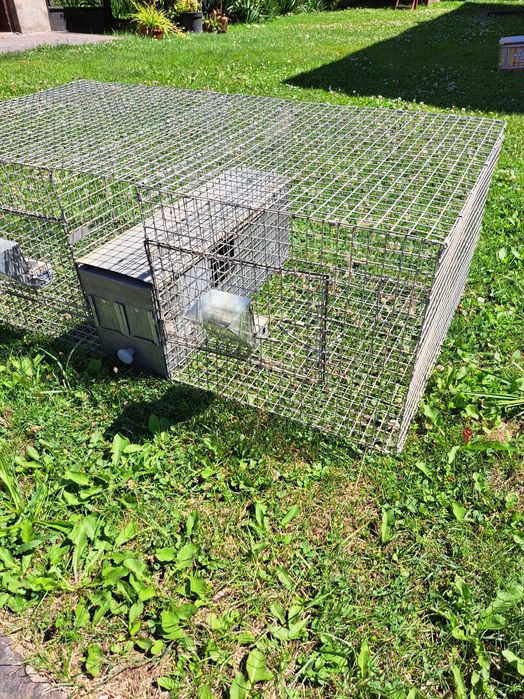 Klatki dla szynszyli do hodowli